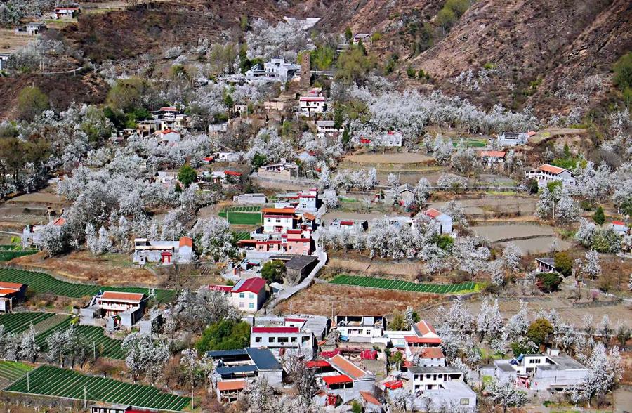 སི་ཁྲོན་གྱིས་ས་ཁོངས་འཕེལ་རྒྱས་གཏོང་བའི་རྣམ་པ་གསར་པ་ཞིག་བཏོད་དེ་དཀར་མཛེས་དང་རྔ་པ་སོགས་ཀྲོའུ་དང་ནང་སའི་དབར་མཐུན་སྦྱོར་འཕེལ་རྒྱས་ལ་སྐུལ་མ་གཏོང་རྒྱུ་ཡིན་པ།