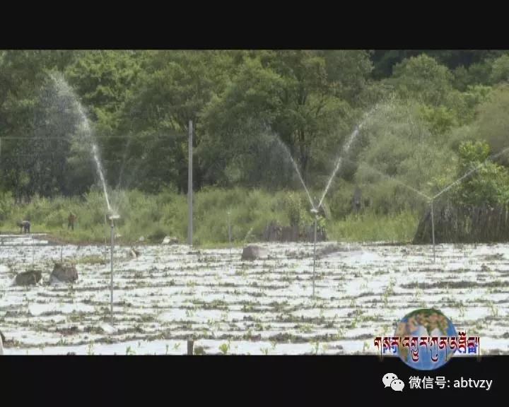  ཁྲོ་ཆུ་རྫོང་གི་ཞིང་བའི་ཡོང་སྒོ་འཕར་སྣོན་བྱུང་། 