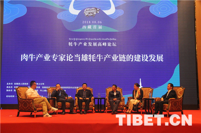 བོད་ལྗོངས་འདམ་གཞུང་གི་འབྲི་གཡག་ཐོན་ལས་ལ་རྒྱལ་ནང་གི་ཆེད་ལས་མཁས་པས་གྲོས་བསྡུར་འཁྲུག་པོ་གནང་།