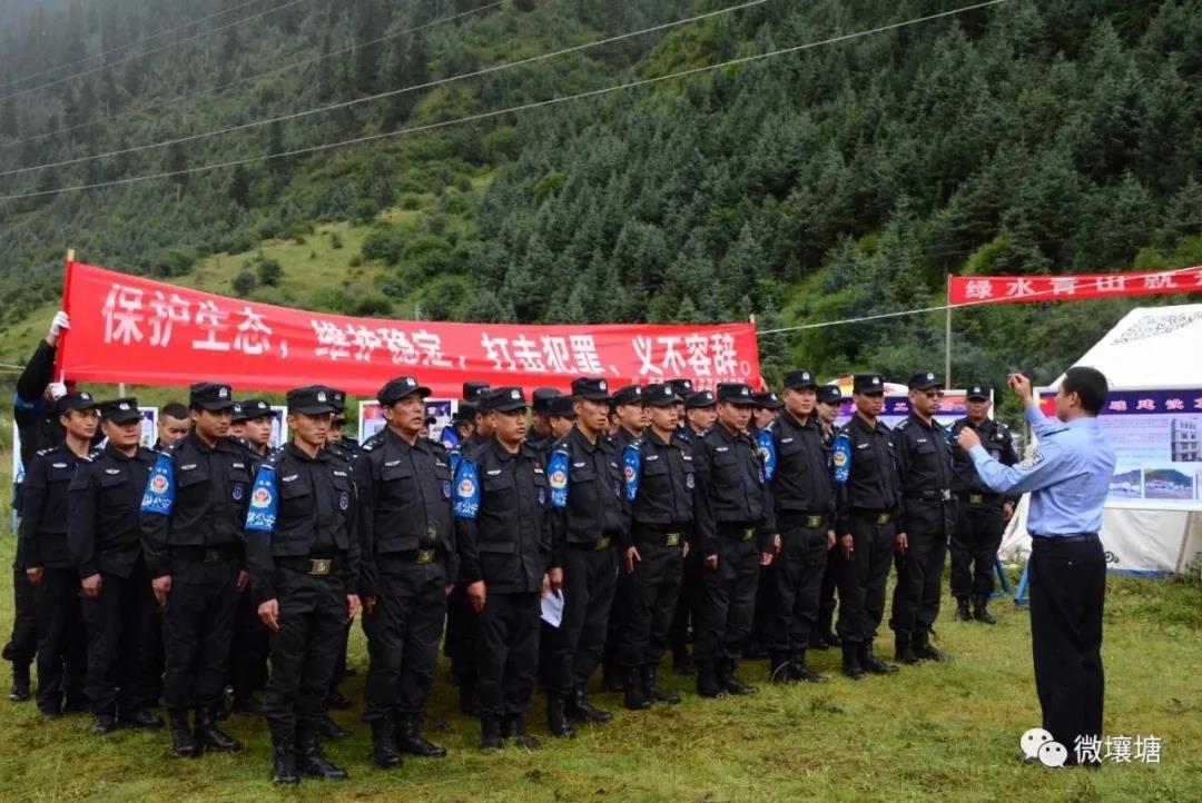 སི་ཁྲོན་དང་མཚོ་སྔོན་གཉིས་མཉམ་འབྲེལ་གྱིས་ནགས་ཚལ་སྲུང་སྐྱོབ་བྱས་པ།