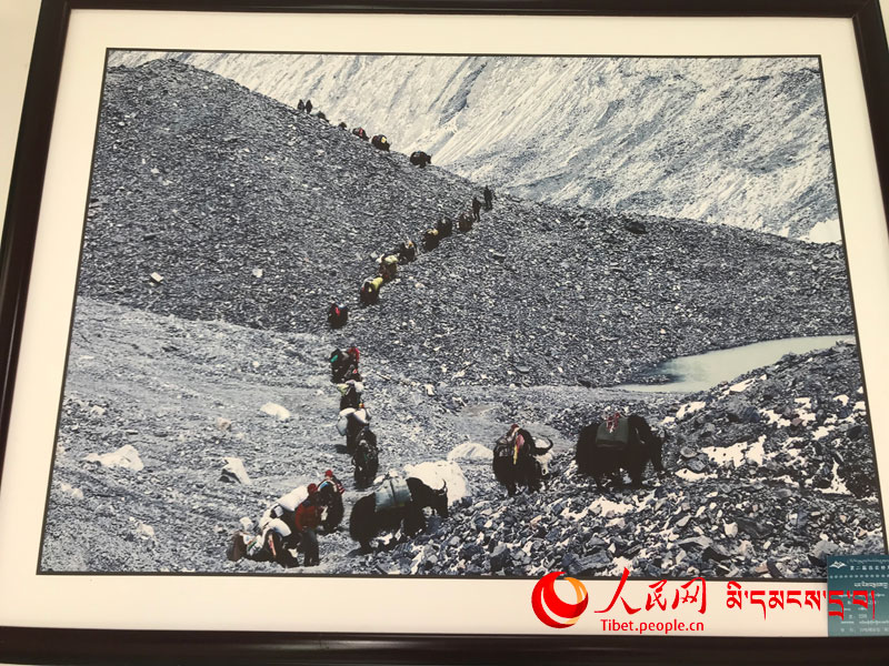 བོད་ལྗོངས་གཞིས་རྩེའི་སོར་རྩེའི་འགྱུར་ཁུག་ཅེས་པའི་ཡིག་གཟུགས་དང་པར་རིས་བརྩམས་ཆོས་འགྲེམས་སྟོན་སྐབས་གཉིས་པ་གཉེར་བ།