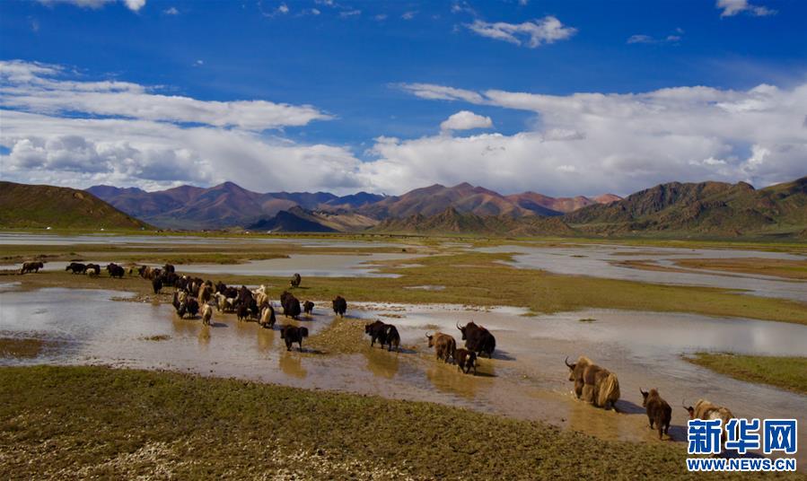 བོད་ལྗོངས་ཡར་ཀླུང་གཙང་བོའི་འབྱུང་ཡུལ་གྱི་བྱེ་བཅོས་བྱ་བར་ཕན་འབྲས་མངོན་གསལ་ཐོབ།