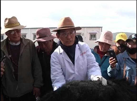 རྔ་བ་རྫོང་གིས་ཕྱུགས་ཟོག་གི་རིམས་ནད་སྔོན་འགོག་དང་ཚོད་འཛིན་ལག་རྩལ་གསོ་སྦྱོང་བྱས། 