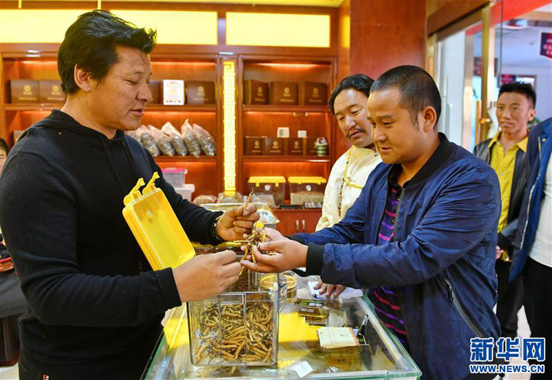 ལྷ་སར་དབྱར་རྩྭ་དགུན་འབུའི་འགྲེམས་ཚོང་ཐེངས་དང་པོ་གཉེར་བ།