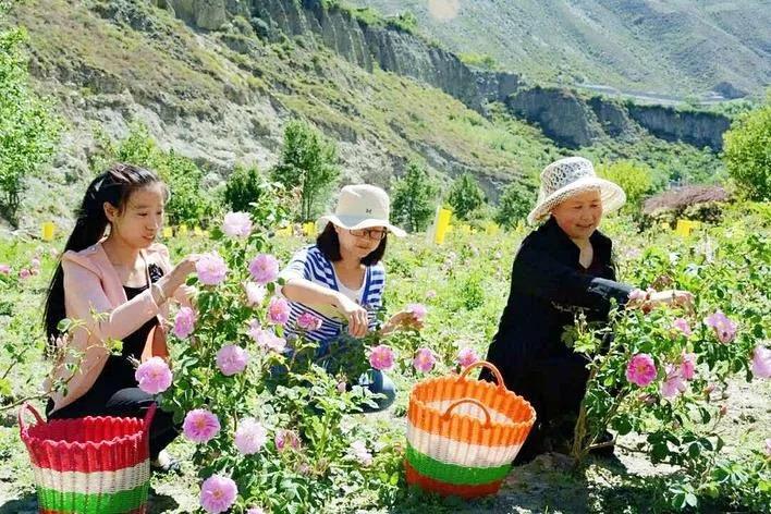 མི་སེར་གྱི་ཕྱུག་ལམ་གསར་བ་སྟེ་རྒྱ་སེ་མེ་ཏོག