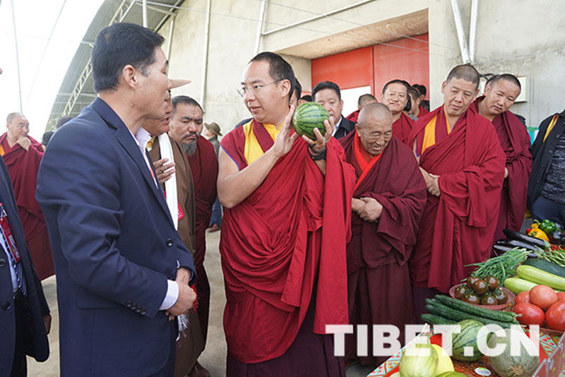 པཎ་ཆེན་སྐུ་ཕྲེང་བཅུ་གཅིག་པས་བོད་དུ་རྟོག་ཞིབ་དང་ཆོས་ཕྱོགས་ཀྱི་བྱེད་སྒོ་བདེ་ལེགས་ངང་མཇུག་བསྒྲིལ་བ།