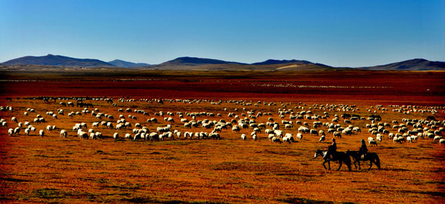 རང་གི་ལག་ཟུང་ལ་བརྟེན་ནས་ཕྱུག་འགྱུར་གྱི་ལམ་དུ་སྐྱོད་པ།