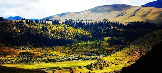 དྭངས་གཙང་གཏེར་ཆུས་དབུལ་སྐྱོར་གྱི་ཞིང་ས་བརླན་པ། 
