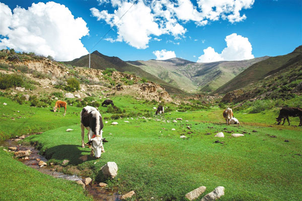 སྟག་གདོང་གྲོང་ཚོས་ཡུལ་སྐོར་ཐོན་ལས་ལ་བརྟེན་ནས་གྲོང་གསེབ་དར་རྒྱས་བཏང་བ།