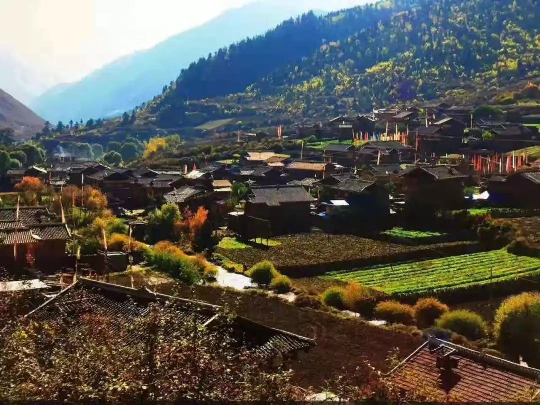 སྐྱེ་ཁམས་དབུལ་སྐྱོར་གྱིས། དབུལ་བྲལ་ལམ་བུ་བཏོད།