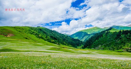 ཉག་རོང་རྫོང་གིས་མེ་འགོག་ཉེན་མེད་ཀྱི་དྲ་བ་སྲ་བརྟན་བཏང་།