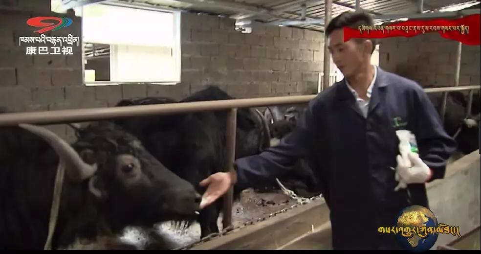 ནོར་ནག་གསོ་སྤེལ་བྱས་ནས་ཐོན་ལས་དབུལ་སྐྱོར་གྱི་ལམ་བུ་བཏོན།