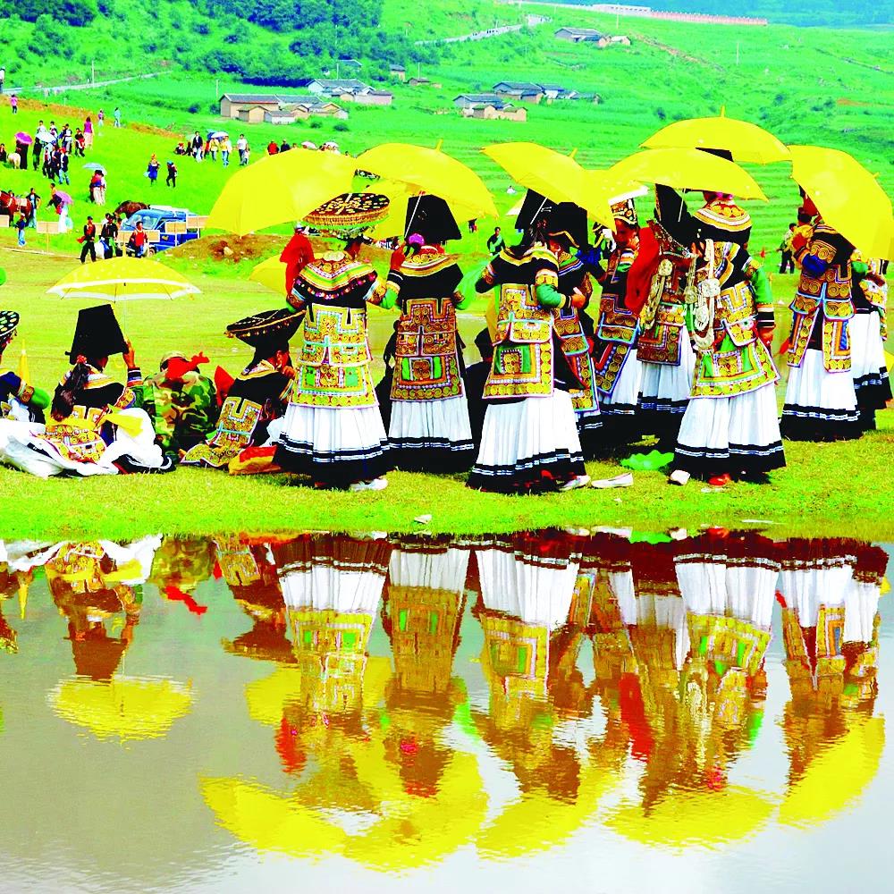 སོ་མའི་མེ་ཏོག་གི་ཞིང་ས་གཤིན་པོ།། མི་རིགས་མཐུན་སྒྲིལ་གྱི་མེ་ཏོག་ཆུན་པོ།།
