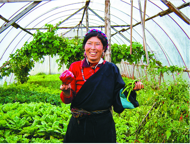 སྔ་འགྱུར་རྙིང་མའི་གདན་ས། མདོ་ཁམས་གནས་མཆོག་དཔལ་ཡུལ།