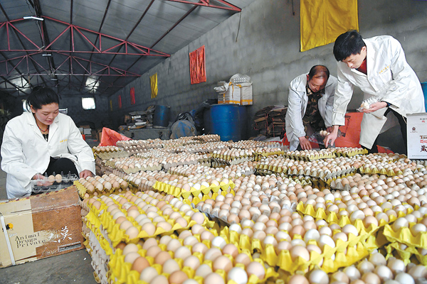 ཁེ་ལས་ཀྱིས་དབུལ་སྒྲོལ་ཕྱུག་འགྱུར་ལམ་ལ་སྣེ་ཁྲིད་བྱས།