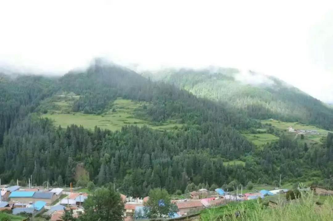 བདེ་སྐྱིད་ཀྱི་ལམ་བུར་བསྐྱོད་པའི་དམར་ཚང་སྡེ་བ།