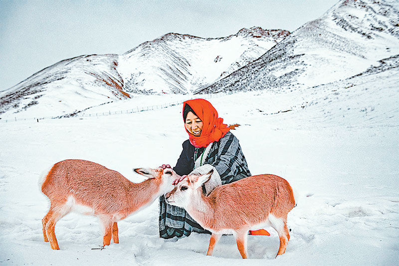 འཆམ་མཐུན་གྱི་འཚོ་གནས། 