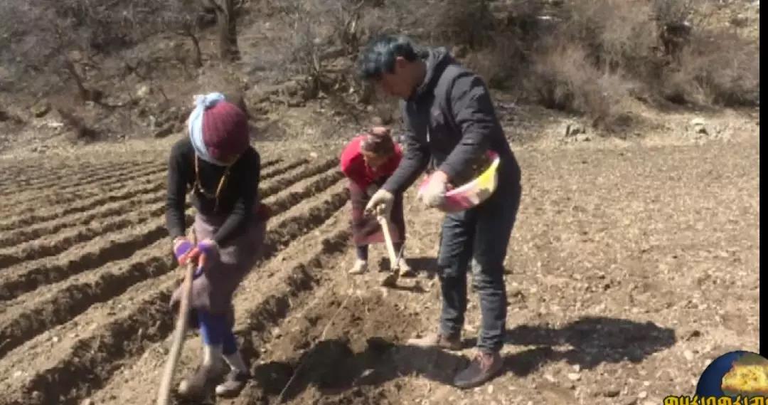 ཛམ་ཐང་གིས་ཚན་རྩལ་དབུལ་སྐྱོར་དང་དཔེ་སྟོན་རྣམ་གྲངས་མཛད་སྒོ་སྤེལ།