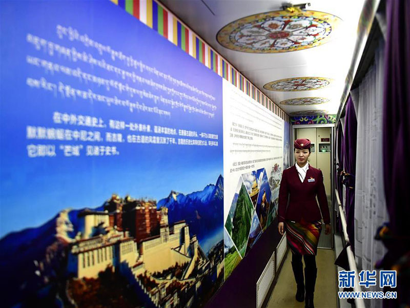 དཔྱིད་གསར་སྐྱེལ་འདྲེན་ལམ་བུའི་ཐོག་གི་བོད་རིགས་གཅེན་གཅུང་གཉིས།