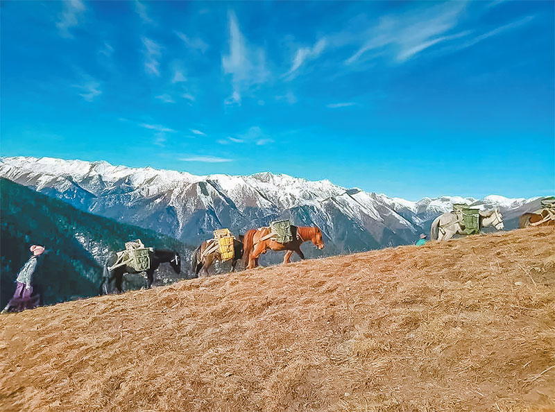 ཁལ་མར་བརྟེན་ནས་དངོས་ཟོག་རི་བོའི་སྒང་ལ་དབོར་བ། 