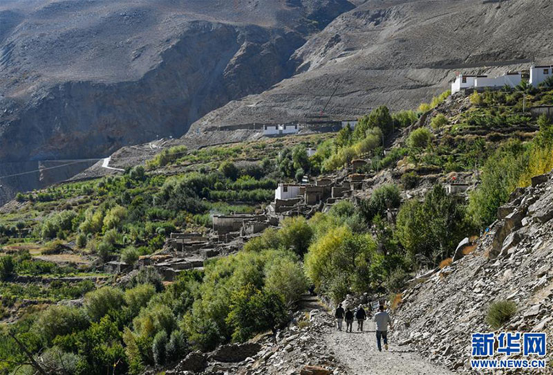 བོད་ལྗོངས་ཀྱིས་ལྗོན་ཤིང་མེད་པའི་གྲོང་ཚོ་དང་ལྗོན་ཤིང་མེད་པའི་དུད་ཚང་80%མེད་པར་བཟོས་པ།