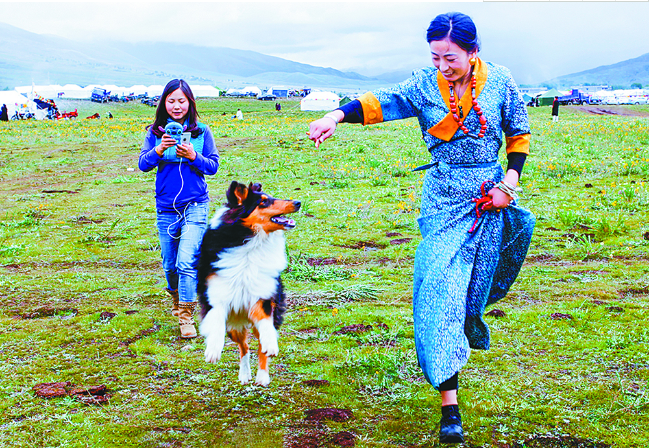 མཐོ་སྒང་གི་དག་པའི་ཞིང་ཁམས་འདབ་པ།