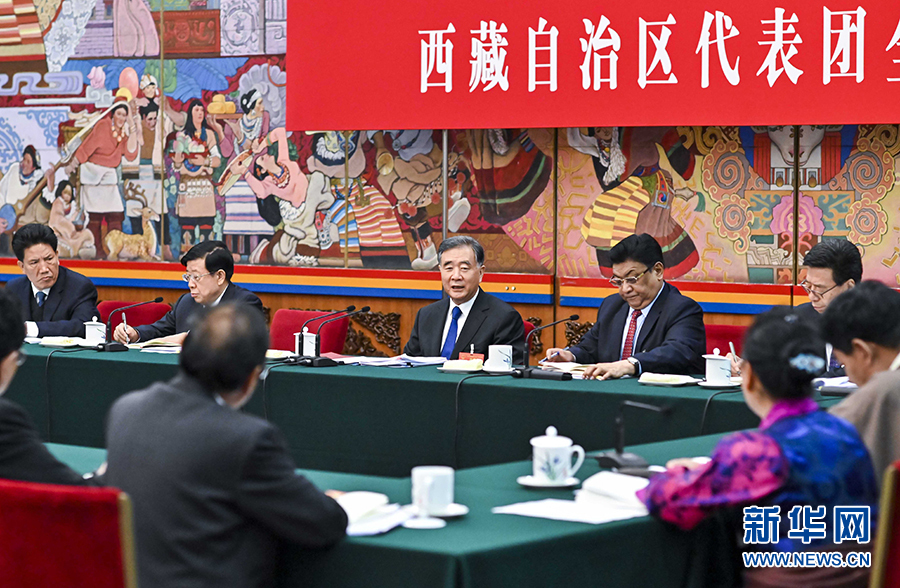 ཝང་དབྱང་བོད་ལྗོངས་འཐུས་ཚབ་ཚོགས་པའི་གྲོས་ཞིབ་ལ་ཞུགས།