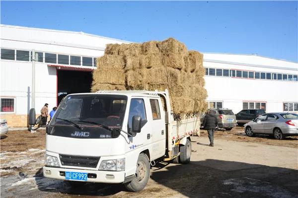 རྔ་བ་ཁུལ་གྱི་འབྲོག་རྫོང་སོ་སོས་དཔྱིད་སྐྱེལ་བའི་དཀའ་ངལ་ཐག་གཅོད་བྱས།