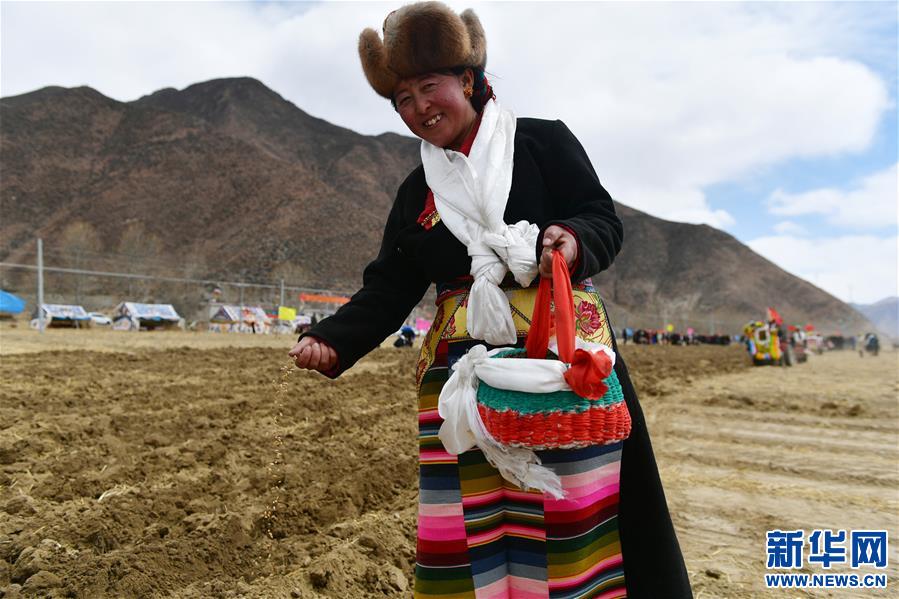 བོད་ལྗོངས་ཀྱི་ཞིང་བས་གླུ་ལེན་གར་འཁྲབ་བྱས་ཏེ་དཔྱིད་རྨོས་མཛད་སྒོ་སྤེལ།