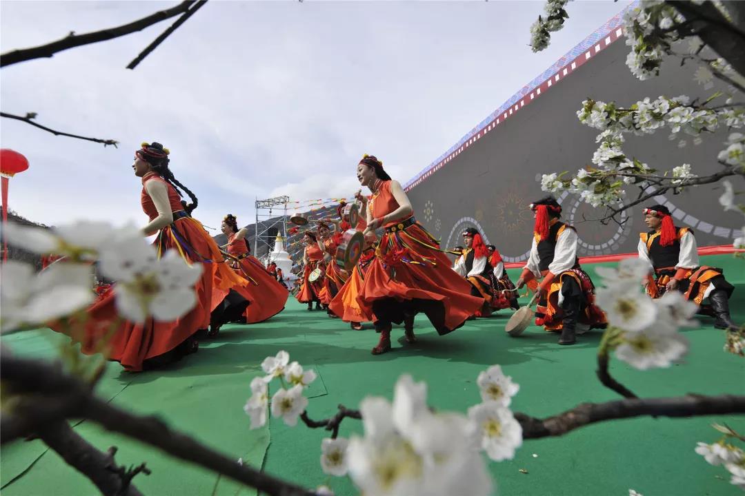 ཆུ་ཆེན་རྫོང་གིས་སྐབས་དྲུག་པའི་ཆང་བ་ལིའི་མེ་ཏོག་དུས་སྟོན་སྤེལ།
