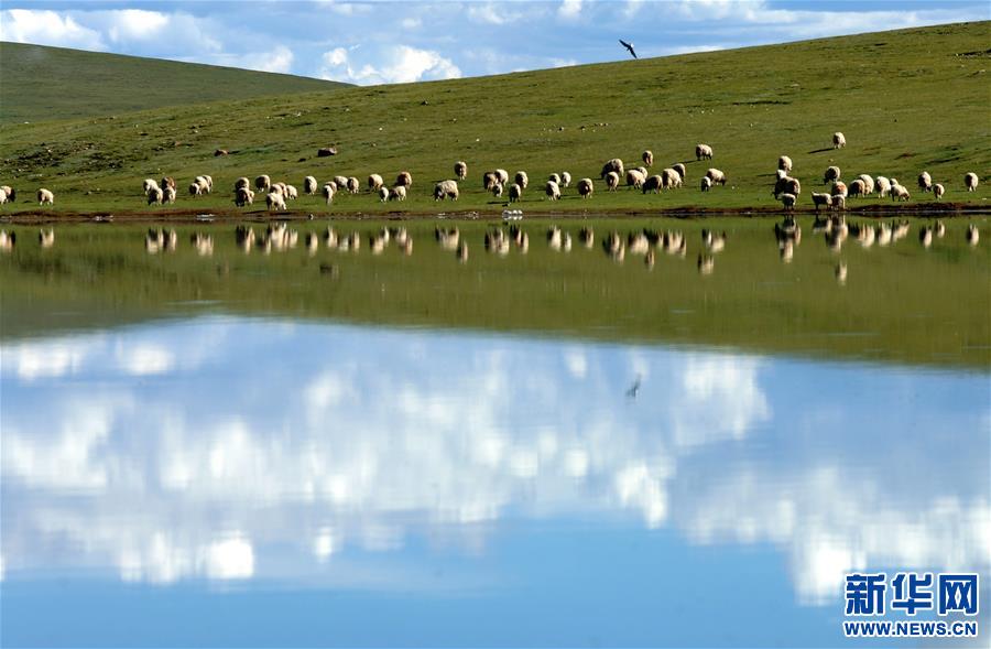 བོད་ལྗོངས་ཀྱིས་སྐྱེ་ཁམས་ཁོར་ཡུག་ལ་སྲུང་སྐྱོབ་བྱས་ནས་མཛེས་སྡུག་ལྡན་པའི་བོད་ལྗོངས་འཛུགས་སྐྲུན་བྱས།