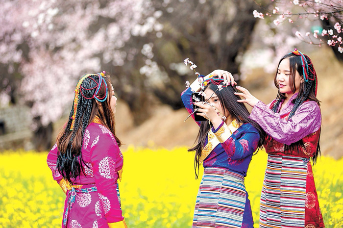 མཛེས་སྡུག་ལྡན་པའི་ཉིང་ཁྲིའི་ཁམ་བུའི་མེ་ཏོག