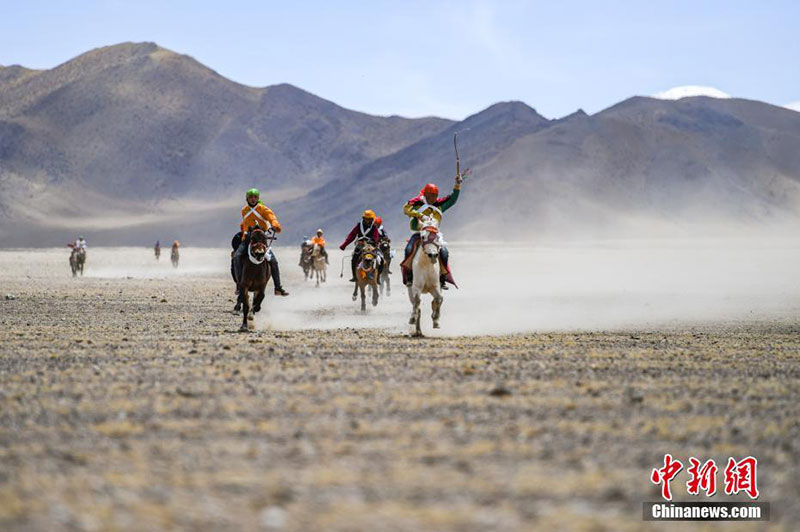 བོད་བྱང་ཐང་གིས་རྟ་རྒྱུག་འགྲན་བསྡུར་བསུས་པ།