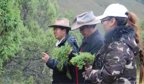 མཚོ་བོད་མཐོ་སྒང་གི་རི་ཆུའི་རིག་གནས་ནི་ཁྱེད་དང་ང་ཡི་གཅེས་ནོར་ཡིན།