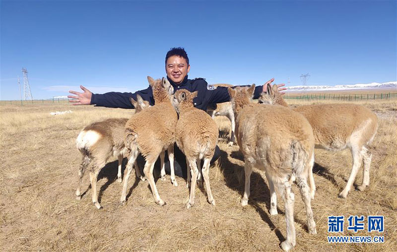 ལྷུན་གྲུབ་ཚེ་རྒྱལ་གྱིས་ཁུ་ཁུ་ཤི་རིའི་སྐོར་གཡེང་ཆེད་ལང་ཚོ་སྐྱེས་སུ་འབུལ་རྒྱུ་ཡིན་ཞེས་བརྗོད་པ།