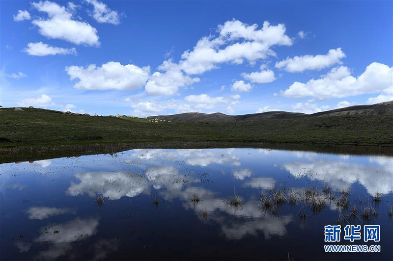 དབྱར་འགོའི་གཉན་པོ་གཡུ་རྩེ།