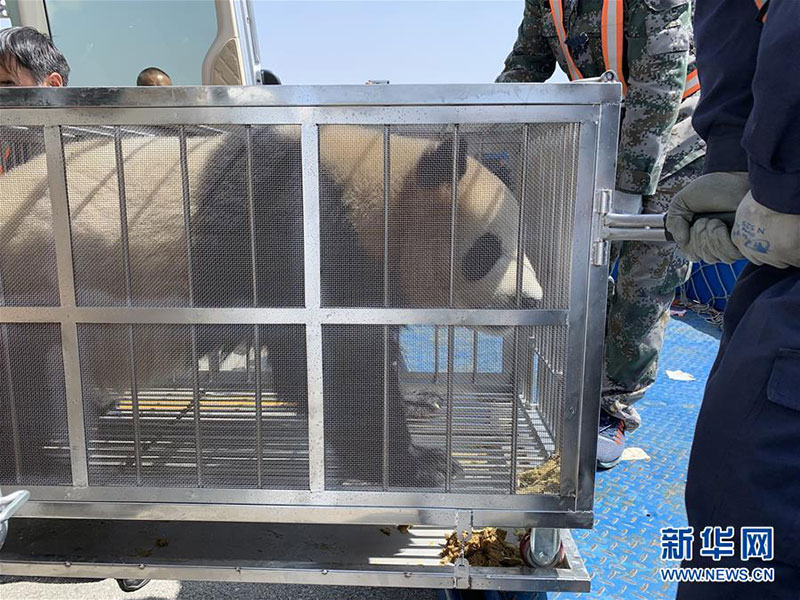 དོམ་ཁྲ་བཞི་མཚོ་བོད་ས་མཐོར་མཉམ་འཛོམས་བྱུང་བ།