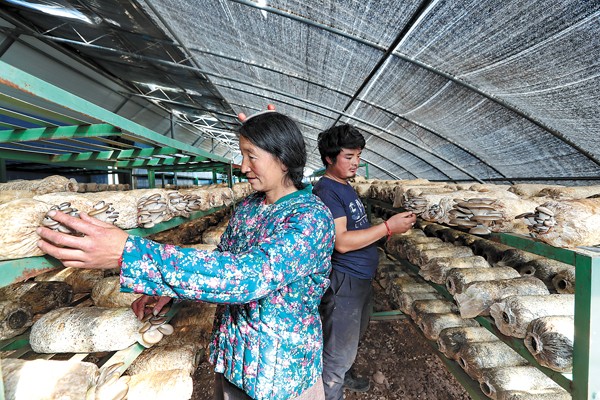 ཆབ་མདོ་གྲོང་ཁྱེར་རི་བོ་ཆེ་རྫོང་གི་སྣོད་བཅུད་ཞིང་ལས་ཀྱིས་འབབ་འཕར་ལ་སྐུལ་འདེད་བཏང་བ།