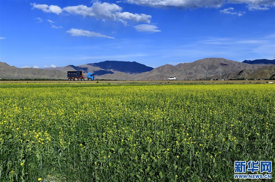 “གཙང་འབྲུ་མཛོད”ཀྱི་ཡུལ་ལྗོངས་ལྟ་ན་སྡུག