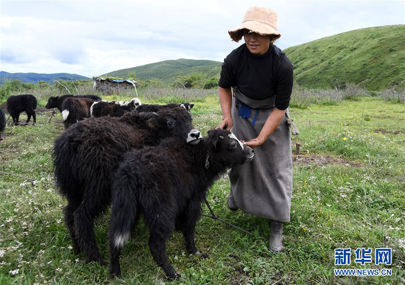 རྔ་ཁུལ་ཁྱུང་མཆུ་རྫོང་གི་འབྲོག་པའི་ཡོང་སྒོ་འཕར་བ། 