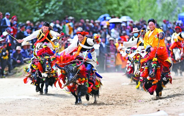 སྲོལ་རྒྱུན་གྱི་གཡག་རྒྱུག་འགྲན་བསྡུར།