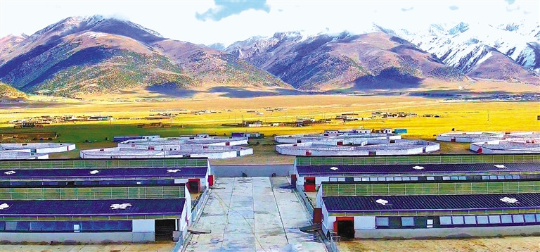 ས་མཐོའི་འབྲི་གཡག་ཐོན་ལས་འཕེལ་རྒྱས་ཀྱི་ལམ་གཏོད་མཁན།