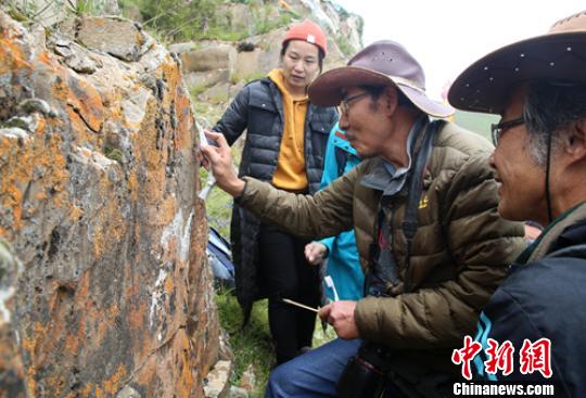 གནའ་བོའི་བྲག་བརྐོས་རི་མོའི་རྗེས་ཤུལ་གསར་དུ་རྙེད། 