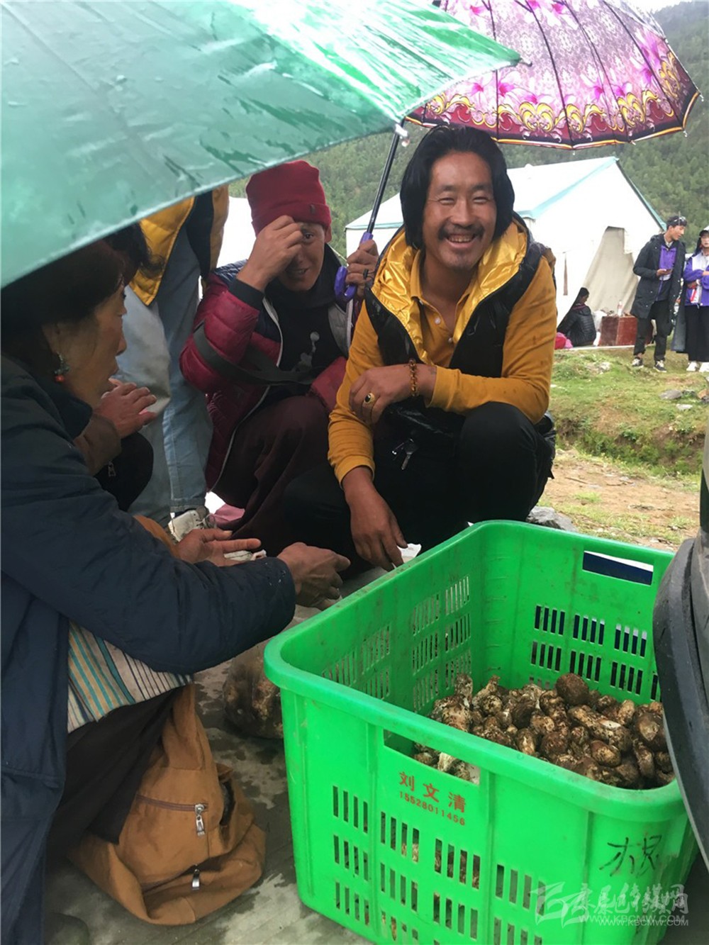 ལི་ཐང་རྫོང་གི་ཞིང་འབྲོག་མང་ཚོགས་ཀྱིས་རི་སྐྱེས་ཤ་མོ་བཏུས་ནས་ཕྱུག་འགྱུར་ལམ་དུ་བསྐྱོད།