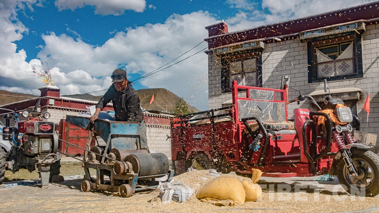 ཞིང་ལས་ལ་བྲེལ་བ་ཆེ་བའི་དུས་སུ་ཁེ་གསུམ་གྲོང་ཚོའི་ཟླ་བ་ཧ་ཅང་སོས་དལ་བག་ཕེབས་རེད།