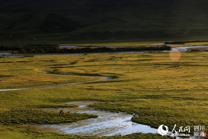 ལི་ཐང་རྫོང་གིས་འདམ་ར་སྲུང་སྐྱོང་རྒྱུན་འཁྱོངས་བྱས་པ།