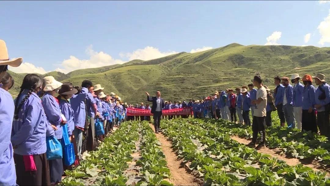 འཛམ་ཐང་རྫོང་གིས་ཆེད་ལས་ཞིང་བ་གསར་བ་སྐྱེད་སྲིང་བྱས།