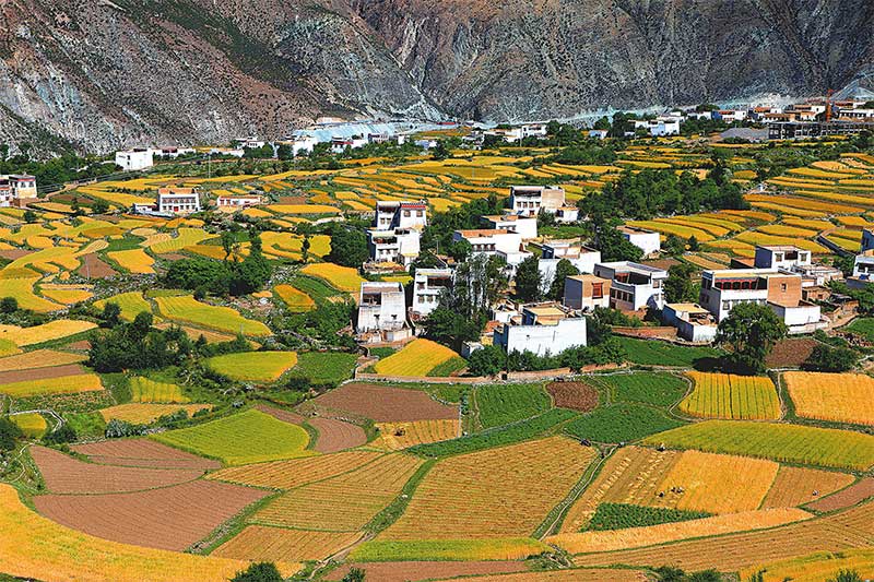 ཕྱག་ཕྲེང་གི་བོད་ཁང་དཀར་པོ།