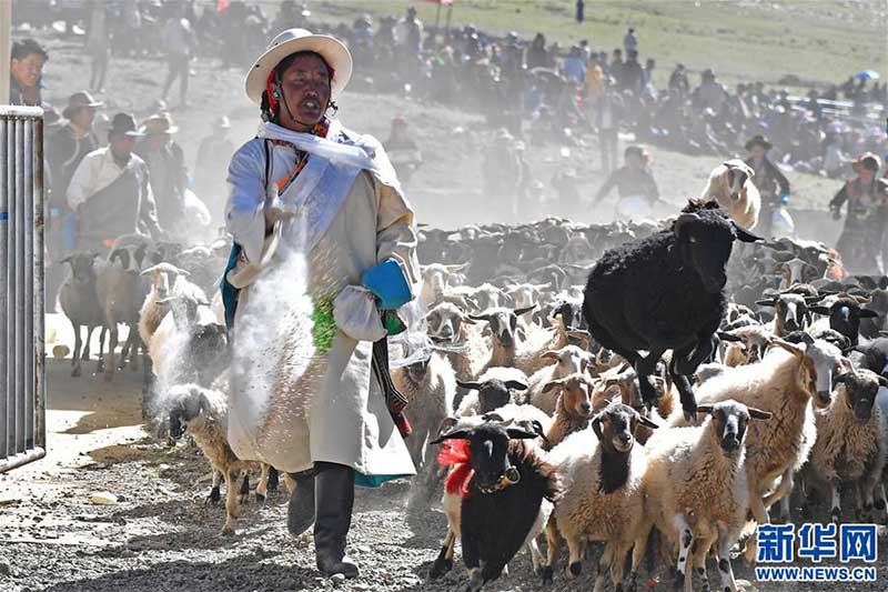 བོད་ཀྱི“མགོ་རྩིས”སྲོལ་རྒྱུན་བྱེད་སྒོ།