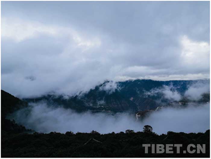 སྟོན་དུས་ཀྱི་ཞོགས་པའི་སྨུག་ཁྲོད་ཀྱི་ཁ་བ་དཀར་པོ།